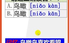 瞰怎么读(如何正确地阅读瞰？ )