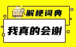28是什么梗(揭秘28是什么梗，有哪些应用场景和玩法)