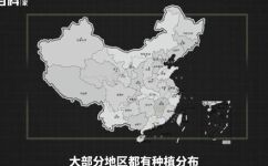 喇叭花是在哪一个季节开放的(喇叭花开放的季节是什么时候？教你认识喇叭花)