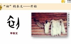 初商是什么意思啊(初商的含义及相关解释 )