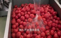西红柿火锅底料的家常做法(家常西红柿火锅底料制作方法，让你轻松享受美味!)