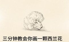 西兰花的画法具体步骤有哪些(如何画西兰花？详细步骤一网打尽)