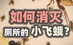 扑棱蛾子怎么消灭(扑棱蛾子的消灭方法，让你远离害虫困扰)