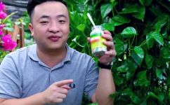 绿萝是什么(绿萝简介及养护方法，了解绿萝的基本知识)