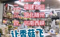 香菇的产地是哪里(香菇产地查询：哪里是优质香菇的产地？)