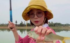 如何垂钓黄尾鱼(实用技巧垂钓黄尾鱼的高效攻略)