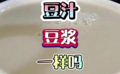 豆汁和豆浆的区别(豆浆和豆汁有什么不同？详解豆浆与豆汁的差异)