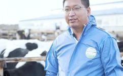奶牛分公母吗(奶牛是如何进行性别分化的？公母有何不同？)