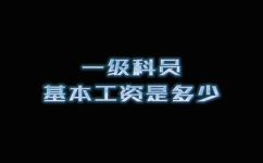 一级科员享受什么待遇(一级科员的薪资福利及权益介绍 )