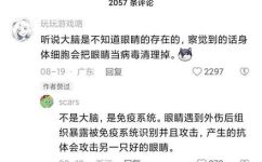 赦免是什么意思和解释(详解赦免的含义及解释，了解更多)