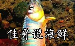 桃花鱼是什么鱼(揭秘桃花鱼：一种什么鱼？特征生活习性全解析)
