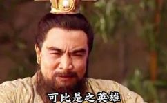 三国中袁绍和袁术谁先死(三国历史：袁绍和袁术，谁先离世？解析曹操之下的家族恩怨)