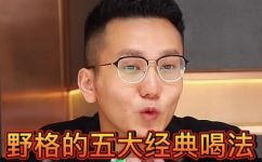 喝野格酒有什么作用(喝野格酒有哪些好处？教你正确享用野格酒)