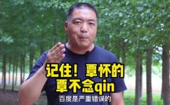 谭字去掉言字旁念什么(停用言字旁念会对谭字有什么影响？ )
