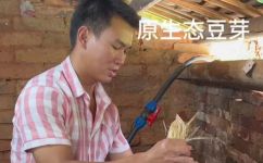 怎样清洗豆芽才干净(豆芽清洗技巧大公开，学会这些方法让你的豆芽清洗更干净)
