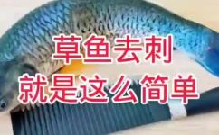 鱼肉怎么吃(鱼肉美味又营养，如何正确食用才能保健养生？)