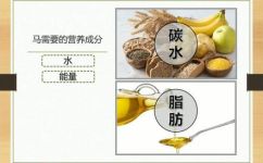 马吃的食物是什么(马的饮食需求解析：马最适合吃什么？)