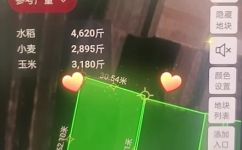 两亩地等于多少(了解农田面积：如何计算两亩地等于多少？)