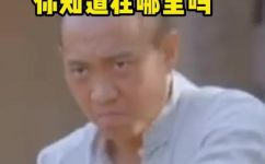 宁津属于哪里(宁津在哪个城市？探究宁津地理位置)