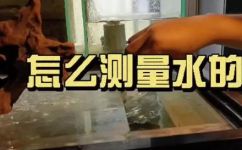 鱼缸水硬度怎么测(如何正确测试鱼缸水的硬度？)