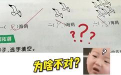 一风筝填量词是什么(解密一风筝填量词的秘密如何优雅地使用量词生成词语，走向文言文之境)