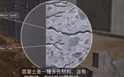 赛珞珞属于什么材质呢(赛珞珞的材质是什么？探究其成分和特点)