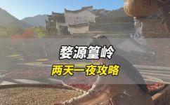 江西婺源几月份去最好(江西婺源旅游指南：最佳旅游时间选择)