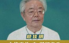 求后人对曾国藩的评价(深入剖析曾国藩的历史影响与评价，探究后人观点)