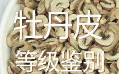 填形容词什么样的牡丹(如何选购品质优良的牡丹从填形容词的角度出发)