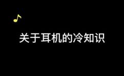 什么叫L型耳机(如何正确理解L型耳机的概念？)