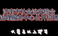 社会治安综合治理中心是什么(社会治安综合治理中心 )