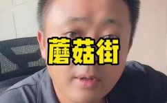 蘑菇街是干什么的(蘑菇街介绍及其主营业务)