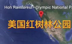 哪里的红树林最有名(探秘全球知名的红树林在哪个国家？)