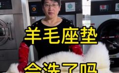 羊毛坐垫如何鉴别(羊毛坐垫的正确鉴别方法从质地到细节，轻松辨别羊毛坐垫真伪)