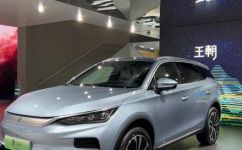 国产纯电动汽车有哪些(国内有哪些品牌的纯电动汽车值得关注？)
