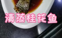 蒸桂鱼要蒸多少分钟(如何蒸桂鱼？蒸桂鱼需要蒸多长时间？一篇完整的蒸桂鱼步骤教程)