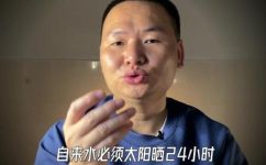 家里鲤鱼如何养(养鲤鱼的技巧与方法，让家里的鱼儿健康成长)