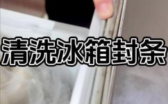 冰箱门封条怎么清洗(冰箱门封条清洗方法大全，步骤详解。)