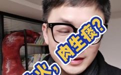 鱼生火肉生痰什么意思和解释(鱼生火肉生痰的含义及解释)