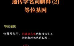 等位基因是什么举例说明(等位基因是什么？以实例解析其含义)