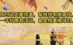 荷尽已无擎雨盖原文及翻译(原文标题：荷尽已无擎雨盖)