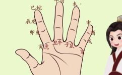 86年属啥生肖(2022年生肖查询86年属啥生肖？快来了解你的属相吧)