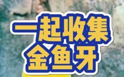 草鱼有牙吗(草鱼有牙齿吗？了解草鱼的口腔特征)