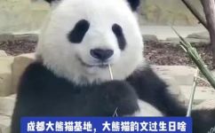 什么叫韵文骈文(韵文骈文：你知道这两种文风的不同吗？ )