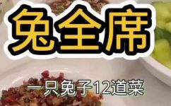 兔子的做法有哪些(兔子食谱大全：教你做多种兔肉美食)