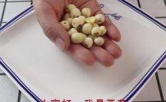 莲子百合的做法(莲子百合的制作方法：教你一步步做出美味可口的莲子百合)