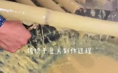 豆片的做法大全家常做法(教你做豆片家常制作不止一种，DIY豆片手工制作大全)