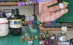 甲酸甲酯的制备方法(甲酸甲酯的制备方法：详细介绍制备过程和注意事项)