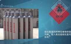 硫化氢与水反应(硫化氢和水的化学反应及安全防护措施)