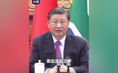 打金砖剧情简介(打金砖剧情概述：揭秘金砖国家贸易战)